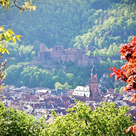 Rueckzugsort In Mossautal-huettenthal Mossautal