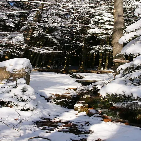 Rueckzugsort In Mossautal-huettenthal *