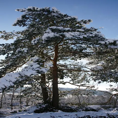 Appartement Rueckzugsort In Mossautal-huettenthal *