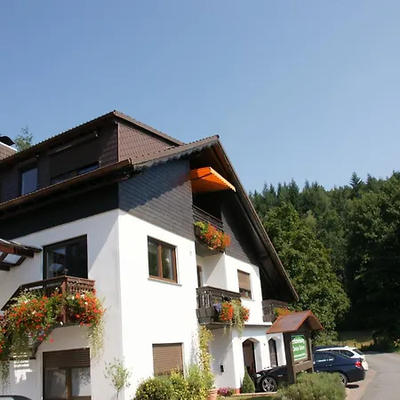Ruhige Ferienwohnung Mit 2 Balkonen In Mossautal-Huettenthal Appartamento *