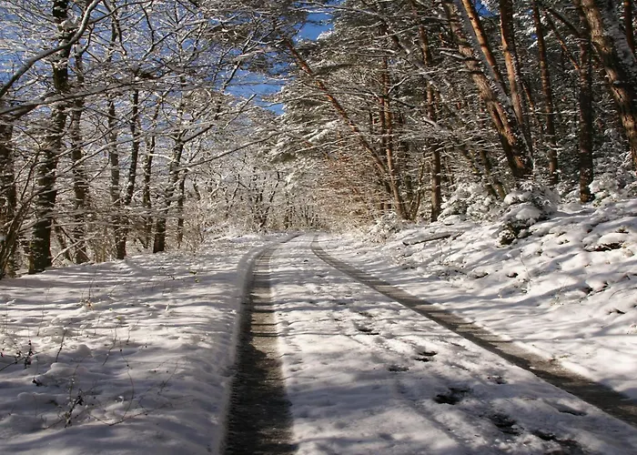 Rueckzugsort In Mossautal-huettenthal Mossautal