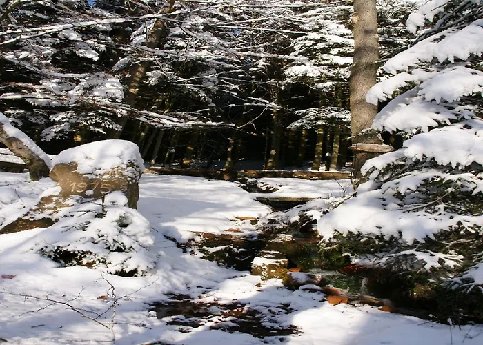 Rueckzugsort In Mossautal-huettenthal *