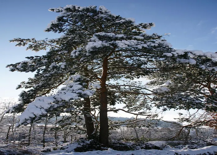 Appartamento Rueckzugsort In Mossautal-huettenthal *